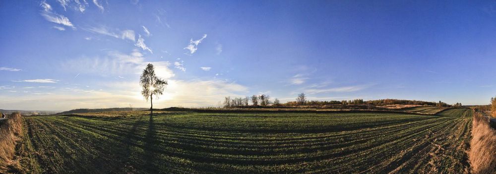 Panorama