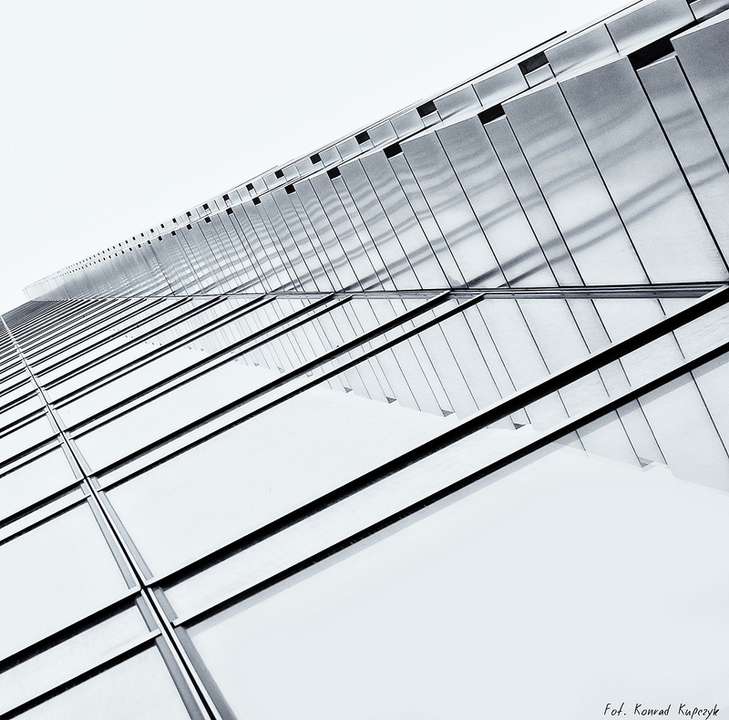 Linie