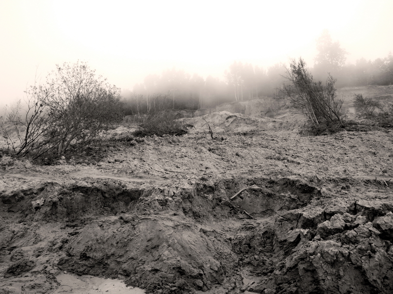 in the mist