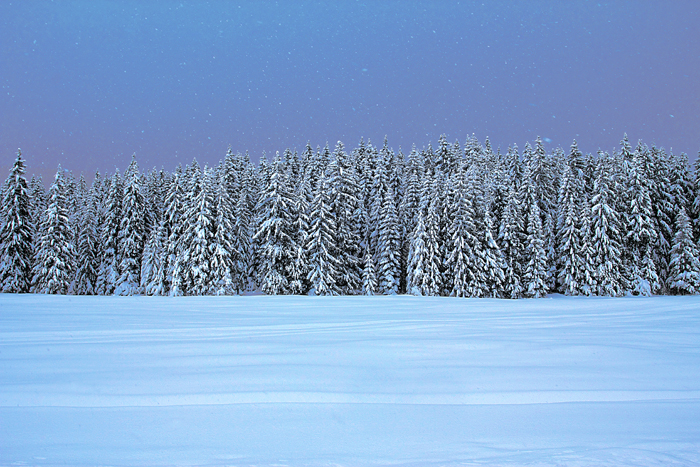 zakopiański śnieg