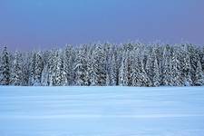 zakopiański śnieg