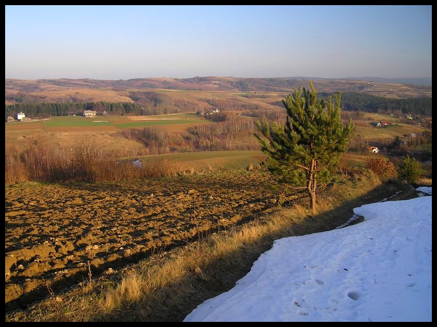 Zima (ustępująca)