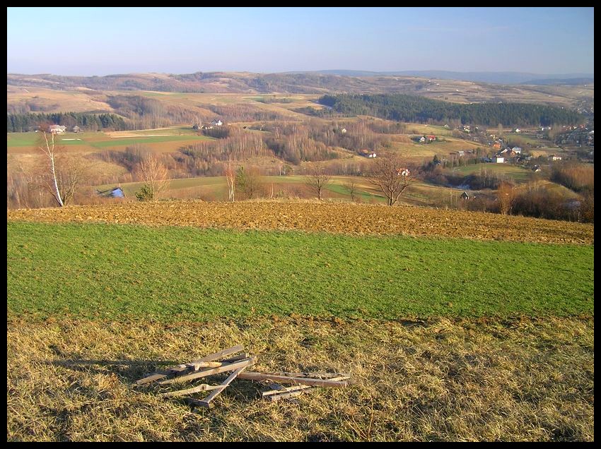 Przedwiośnie