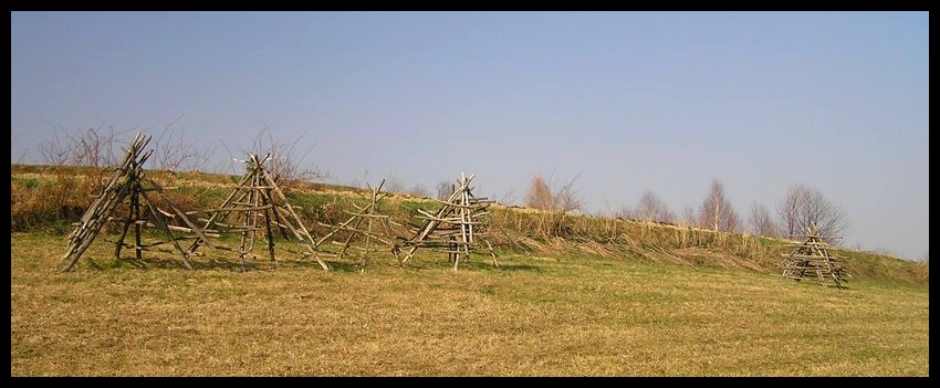 Wiosna