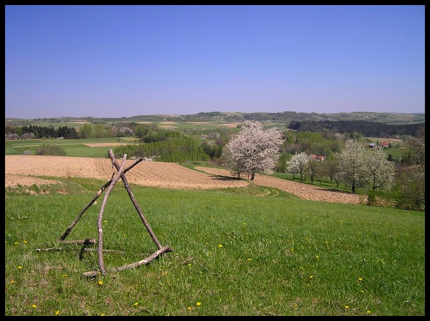 Wiosna