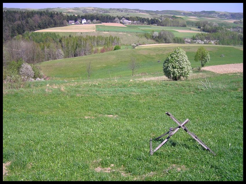 Wiosna