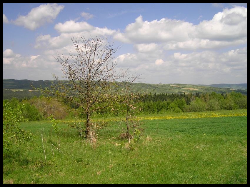 Wiosna