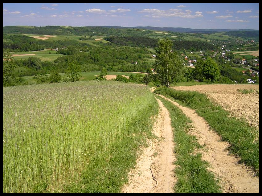 Wiosna