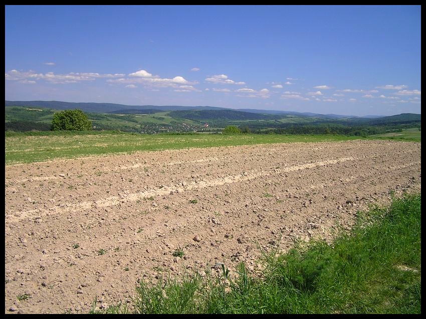 Wiosna