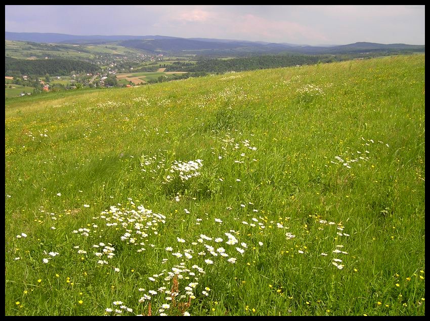 Wiosna
