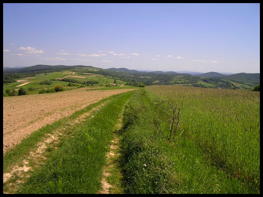 Wiosna
