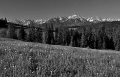 TATRY-CD