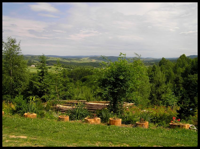 Wiosna
