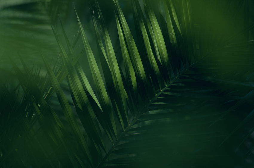 Madagaskar