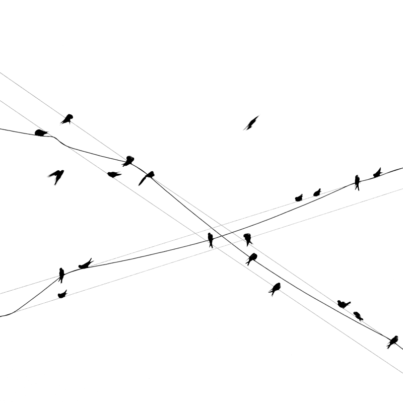 Cross.