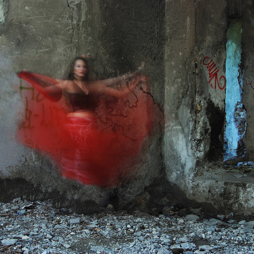 Motyl