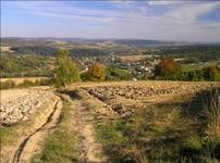 Jesień