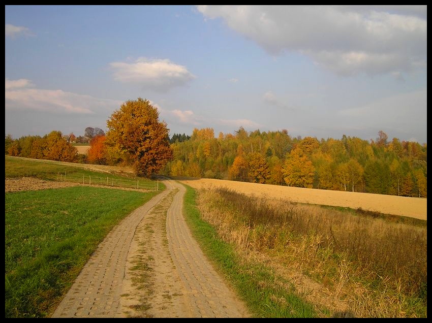 Jesień