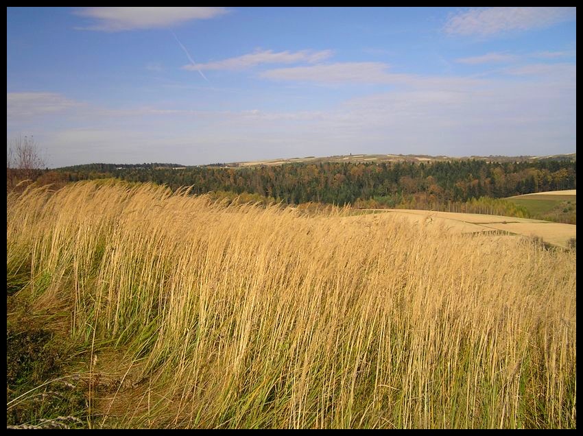 Jesień