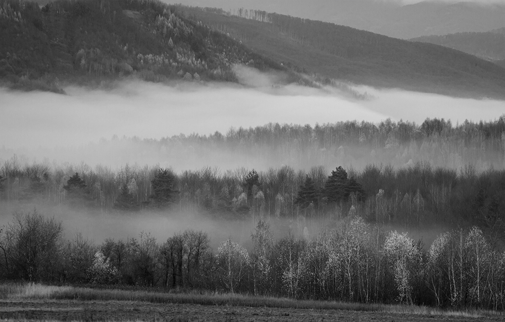Autumn Inversion