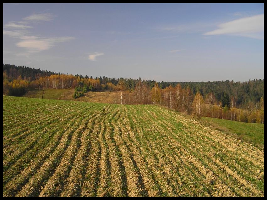 Jesień