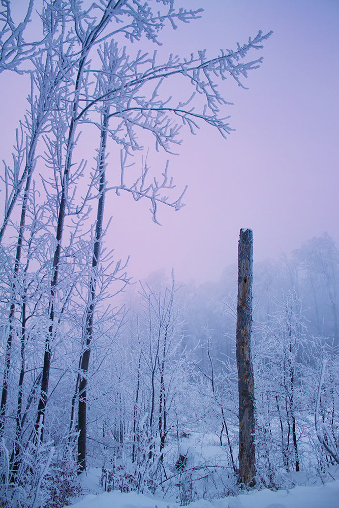 Winter Magic