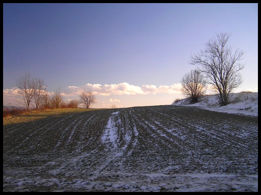 Zima