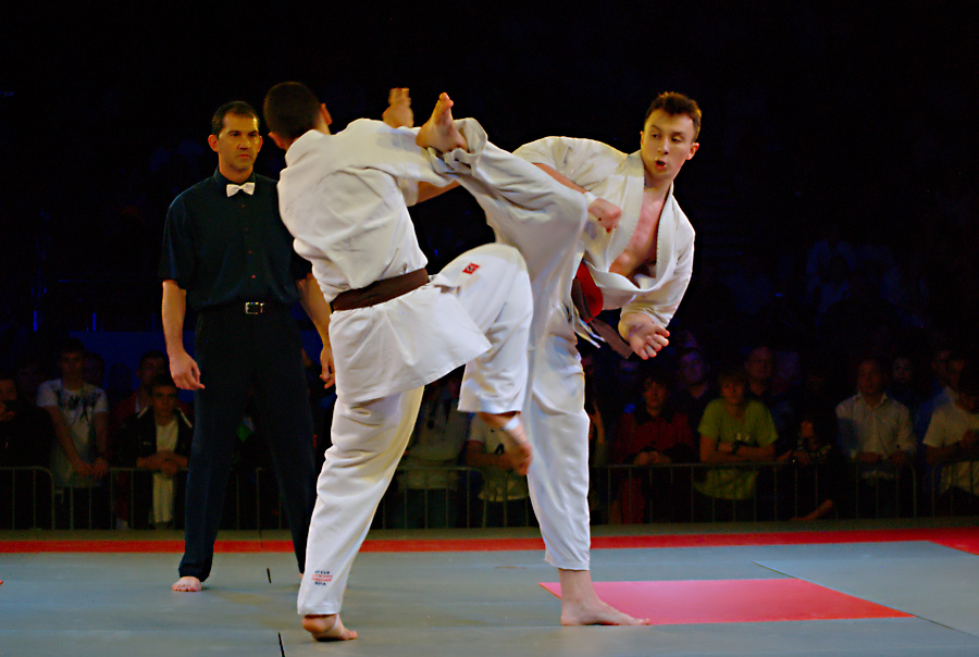 Mistrzostwa Europy Kyokushin listopad 2013 Legnica