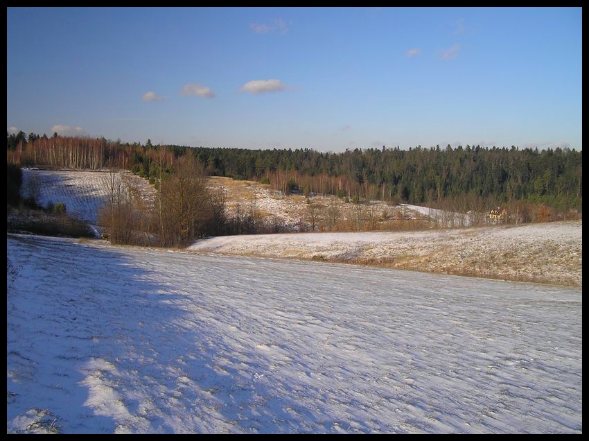 Zima