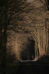 Into the Darkness