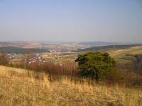 Wiosna