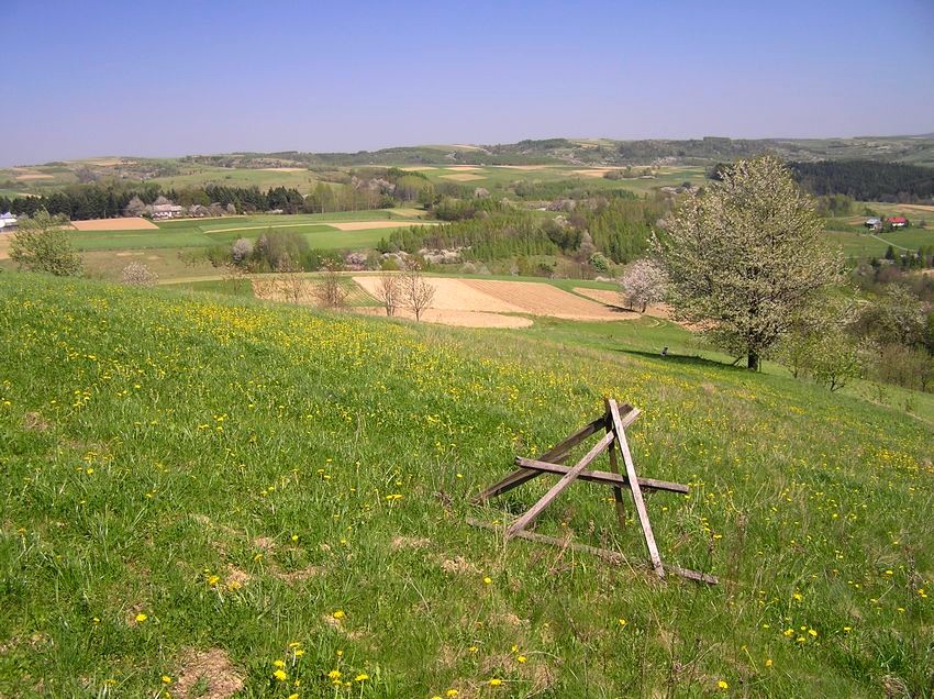 Wiosna