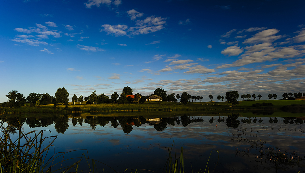 poranek nad stawem