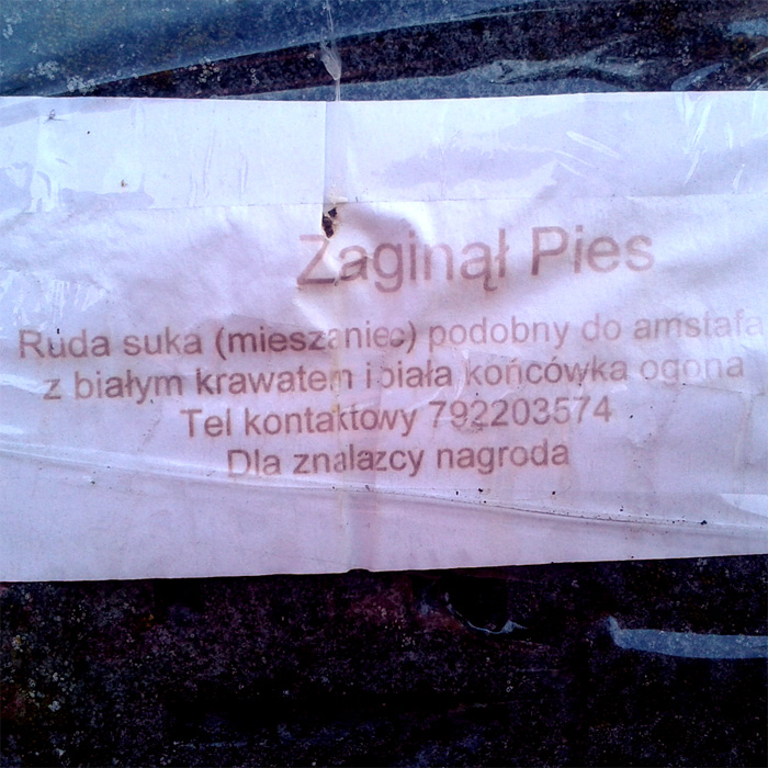 miastokielce