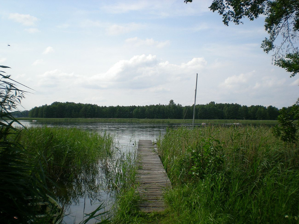 Pomost