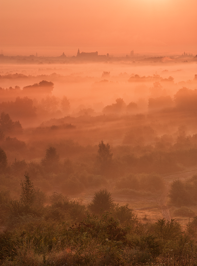 Dzień dobry Kraków! # 2