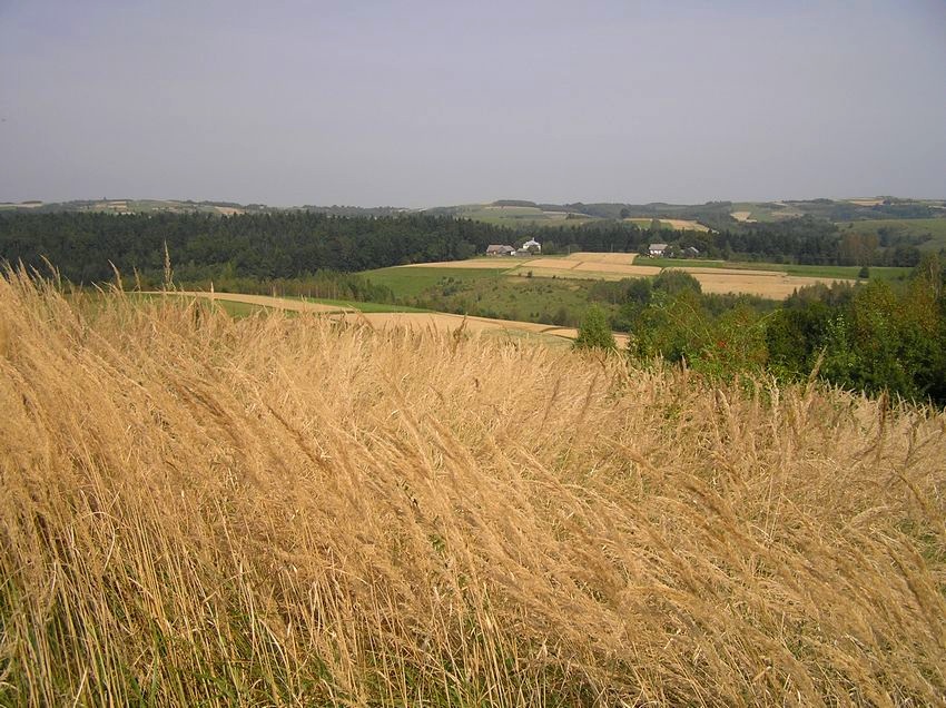 Wczesna jesień