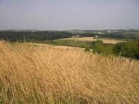 Wczesna jesień