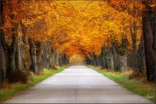 Fire Walk With Me...