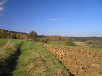 Jesień
