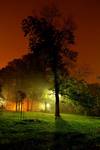 szukając światła nocą