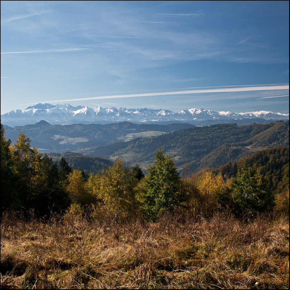 iglasta