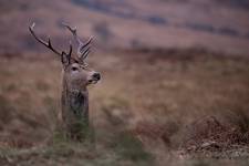 Glen Etive 2