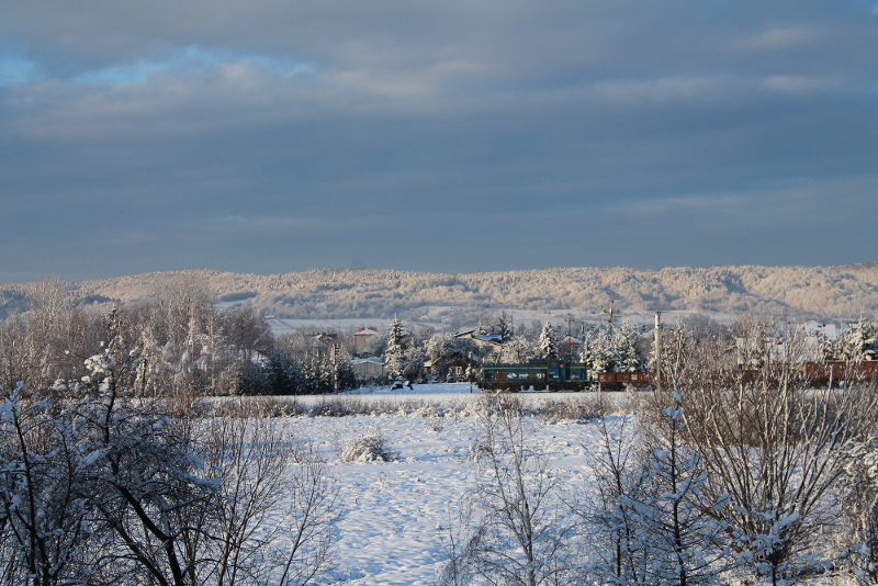 Zima 2015