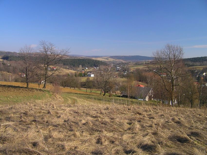 Przedwiośnie