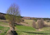 Wiosna