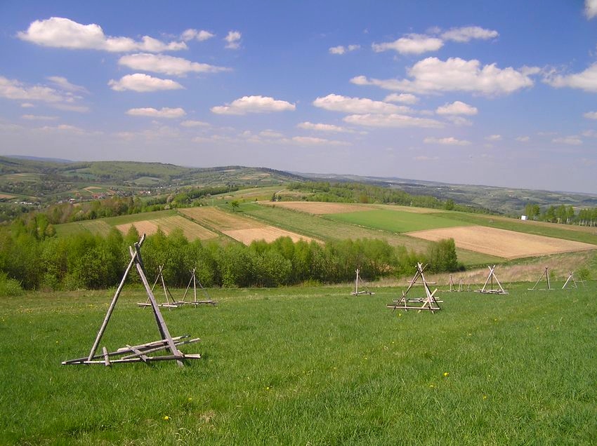 Wiosna