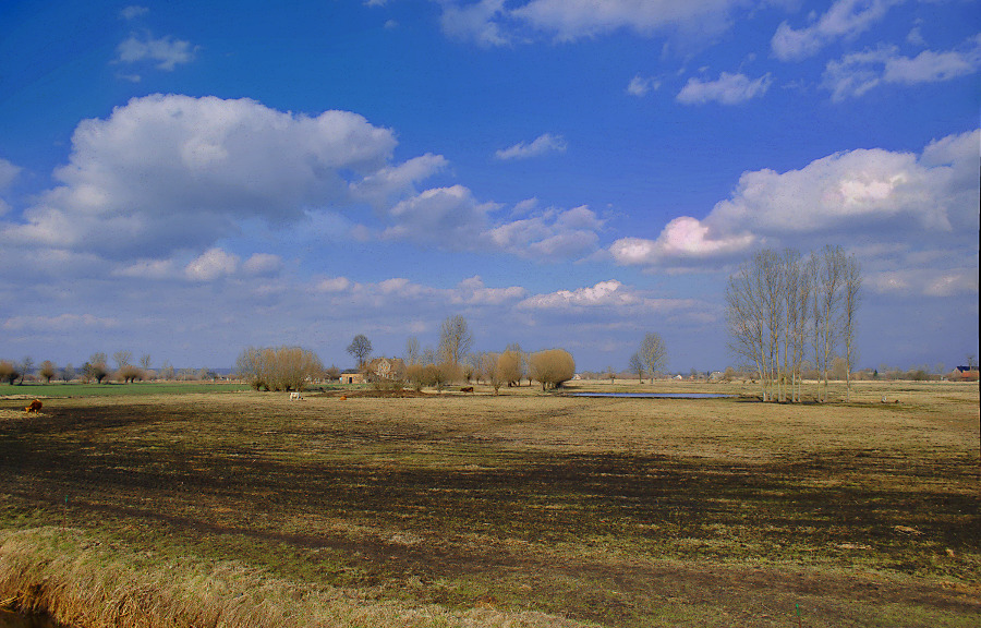 Nad Notecią
