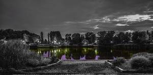 Park Szczęśliwicki