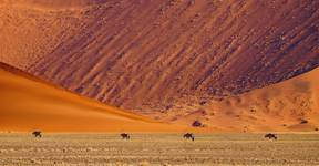 4xoryx